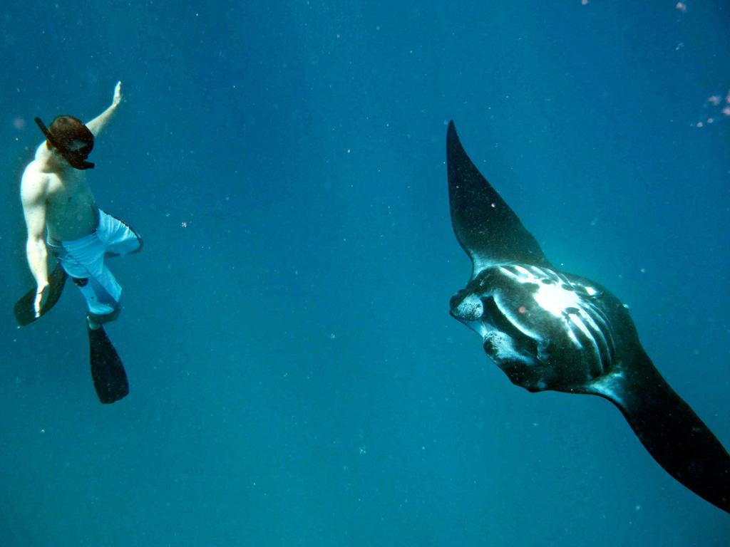 Mantaray Island Resort Nanuya Balavu Island Exteriér fotografie